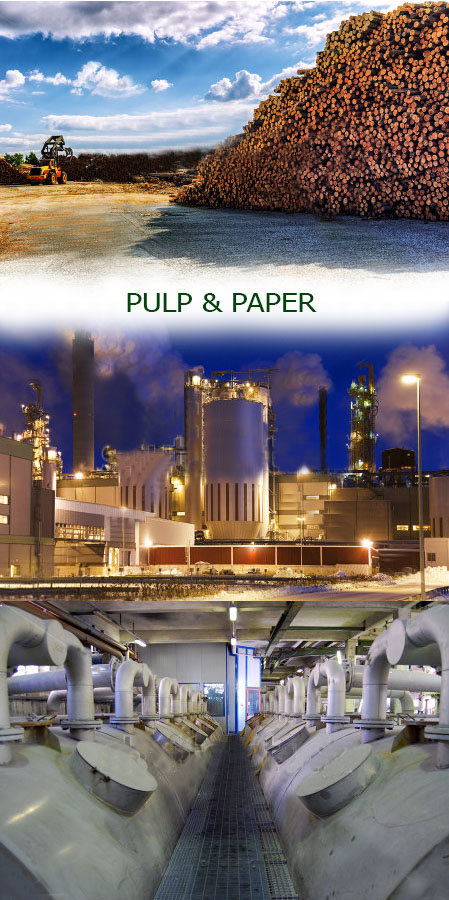 Pulp6